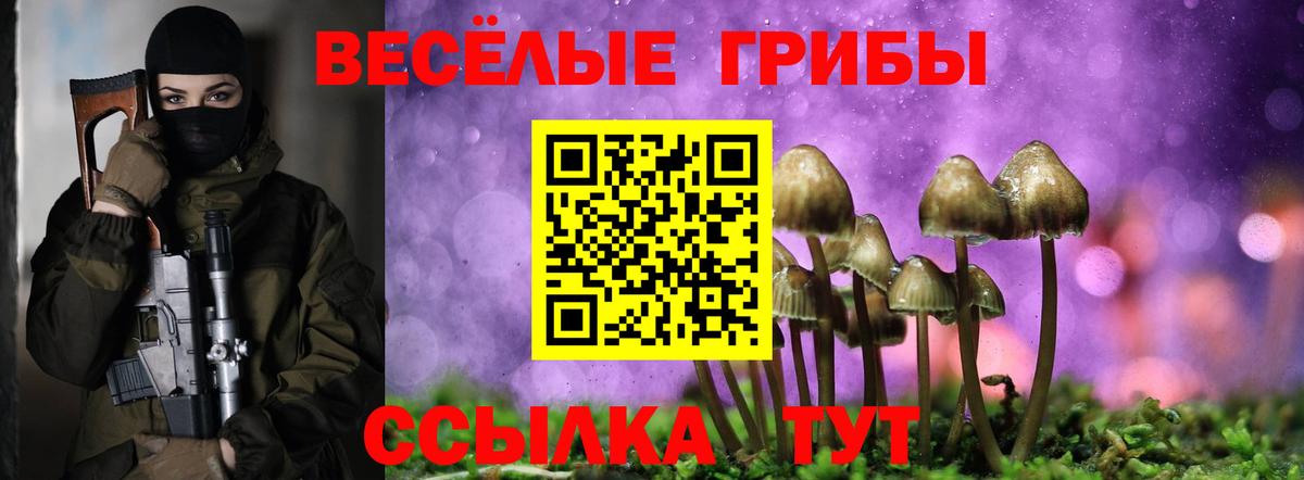 Галлюциногенные грибы Magic Shrooms Кемерово